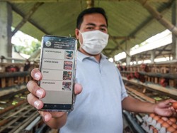 Aplikasi Ini Mudahkan Peternak Milenial Transaksi Telur