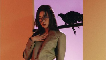 Penggemar Heboh Lihat Foto Seulgi Red Velvet Mirip PNS