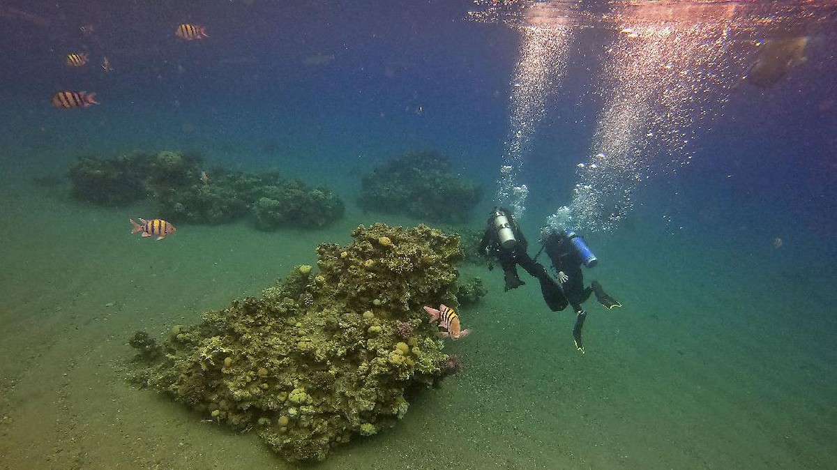 FOTO: Laut Merah yang Kian Sepi Penghuni