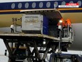 VIDEO: Selandia Baru Terima 60 Ribu Vaksin saat Lockdown