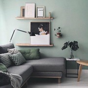 Warna Cat yang Cocok untuk Ruang Tamu agar Terlihat Sejuk
