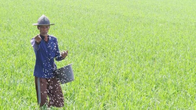 Kepala Badan Pusat Statistik (BPS) Kecuk Suhariyanto memuji capaian ekspor dan peningkatan produksi sektor pertanian