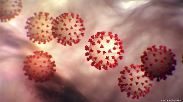 Jika Mutasi Virus Corona Makin Ganas, Vaksin Covid-19 Perlu Direvisi Jika Mutasi Virus Corona Makin Ganas, Vaksin Covid-19 Perlu Direvisi