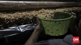 Nelangsa Perajin Tempe Surabaya Gegara Harga Kedelai: Ini Parah