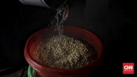 Harga Kedelai Dunia Naik 5,4 Persen