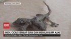 VIDEO: Aneh, Cicak Kembar Siam dan Memiliki 5 Kaki