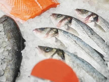 Murah dan Bergizi, 8 Jenis Ikan untuk MPASI Selain Salmon