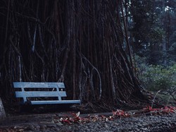 4 Wisata Murah di Bogor, Seharian Tidak Sampai Rp 200 Ribu!
