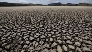FOTO: Kemarau dan Deforestasi, Laguna di Kolombia Mengering