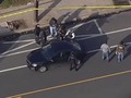 VIDEO: Penembakan Philadelphia, 8 Tertembak dan Satu Kritis