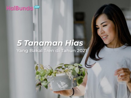 5 Tanaman Hias Nge-Hits di 2021