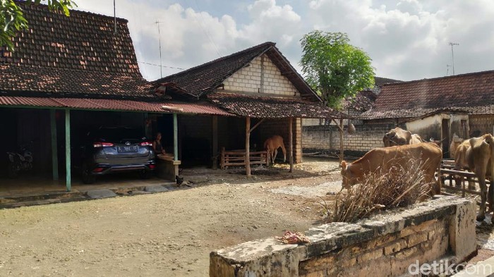 Desa Sumurgeneng, Kecamatan Jenu, Tuban tengah menjadi sorotan dan disebut-sebut sebagai kampung miliarder. Meski begitu, warganya tetap bertani seperti biasa.