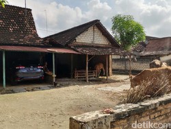 Warga Kampung Miliarder Tuban Tetap Bertani Meski Punya Banyak Uang