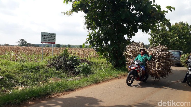 Desa Sumurgeneng, Kecamatan Jenu, Tuban disebut-sebut sebagai kampung miliarder. Sebab, ratusan warganya mendapat uang ganti rugi lahan untuk kilang minyak hingga miliaran Rupiah.