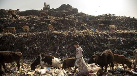 FOTO: Kisah Keseharian Bocah Pemulung di India