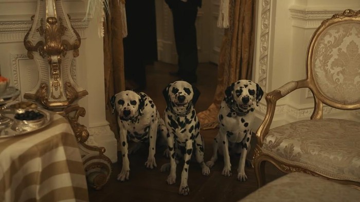 Dalmatian di Cruella
