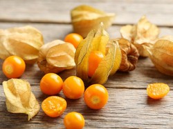 Ini 5 Buah Unik yang Viral di TikTok, Ada Buah Salju dan Ciplukan