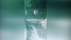 VIDEO: Kocak, Pocong Lari Dikejar Anjing