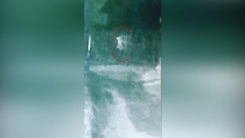 VIDEO: Kocak, Pocong Lari Dikejar Anjing