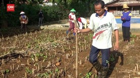 VIDEO: Dapat 24 M, Petani Miliarder Ini Masih Bertani