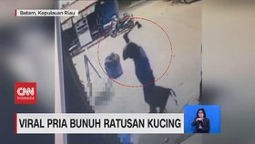 VIDEO: Viral Pria Bunuh Ratusan Kucing
