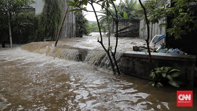 Pedagang ikan cupang di kawasan Duren Tiga, Pancoran menjerit karena rugi Rp8 juta lebih akibat dagangan mereka hanyut terbawa banjir pada akhir pekan kemarin.