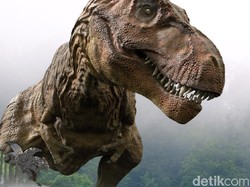 Atraksi Baru di The Great Asia Africa Lembang: Beri Makan Dinosaurus!