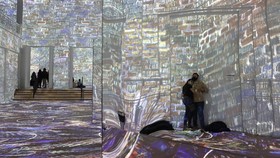 FOTO: Menjelajah Pameran Interaktif karya Van Gogh di Chicago