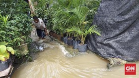 Ikan di Tambak Luber, Warga Pejaten Mancing Lele Saat Banjir