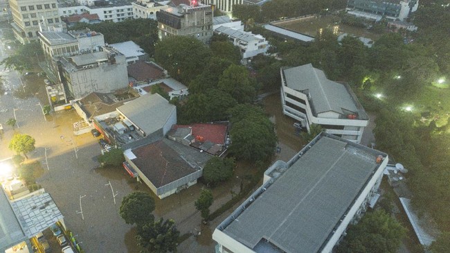 Pemprov DKI bakal memanfaatkan RTH untuk menanggulangi banjir Jakarta, salah satunya membuat embung di kawasan taman-taman kota.
