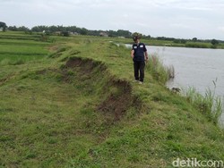Tanggul Waduk Wojomanis Lamongan Sliding 100 Meter