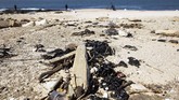 FOTO: Tumpahan Minyak di Laut Mediterania Ancam Ekologi Puluhan ton minyak tumpah di laut Mediterania Israel, pekan lalu. Pemerintah setempat akhirnya menutup garis pantai untuk menyelidiki asal muasal minyak.