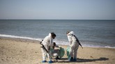 FOTO: Tumpahan Minyak di Laut Mediterania Ancam Ekologi Puluhan ton minyak tumpah di laut Mediterania Israel, pekan lalu. Pemerintah setempat akhirnya menutup garis pantai untuk menyelidiki asal muasal minyak.