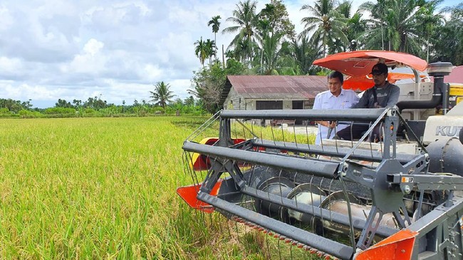 Penyerapan beras yang dilakukan Bulog ditandai dengan masuknya beras medium ke Gudang Bulog Gampong Darat, Meulaboh sebanyak 500 ton pada Senin (22/2).