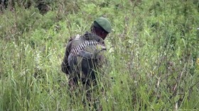Kongo, Gunung Emas dan Smartphone 'Berdarah'