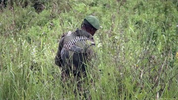 Kongo belakangan dihebohkan dengan gunung emas. Namun Kongo juga kaya akan kobalt hingga coltan yang menjadi bahan utama baterai ponsel.