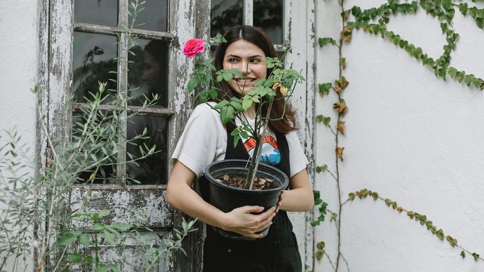 Harus Dicoba! Ini 5 Tips Anti Bosan Meski Masih di Rumah Aja Selama Pandemi