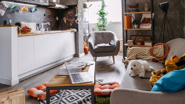 Ilustrasi Kombinasi Ruangan Cute Maltese dog lying on sofa in modern apartment and waiting for owner