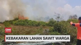 VIDEO: Kebakaran Lahan Sawit Warga