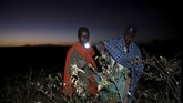 FOTO: Gerombolan Belalang Serang Kenya Kenya sedang menghadapi wabah belalang terburuk dalam beberapa dekade terakhir.