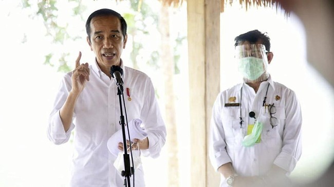 Presiden Jokowi menyatakan tidak mau lagi proyek lumbung pangan atau food estate dibiayai APBN dan tengah mencari investor untuk menggarap proyek tersebut.