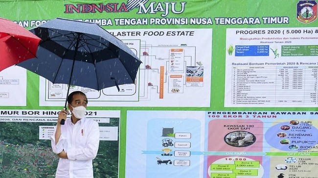 Selain mengecek pompa air di food estate Sumba Tengah, NTT, Jokowi juga ingin menyapa warga yang sudah menunggu sambil hujan-hujanan.