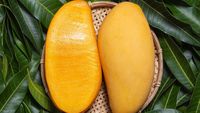 Gak Cuma Buahnya, Daun Mangga Juga Berikan 5 Manfaat Buat Kecantikan