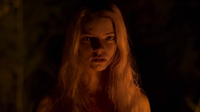 The Witch merupakan film horor yang diangkat dari dongeng masyarakat Inggris mengenai lahirnya penyihir.
