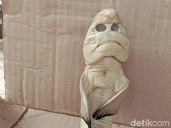 Ramai Hiu Wajah Manusia di NTT, Ini 5 Kasus Pareidolia yang Bikin Heboh
