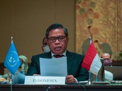 Wamen LHK Ungkap 3 Target Indonesia pada COP28 di Dubai