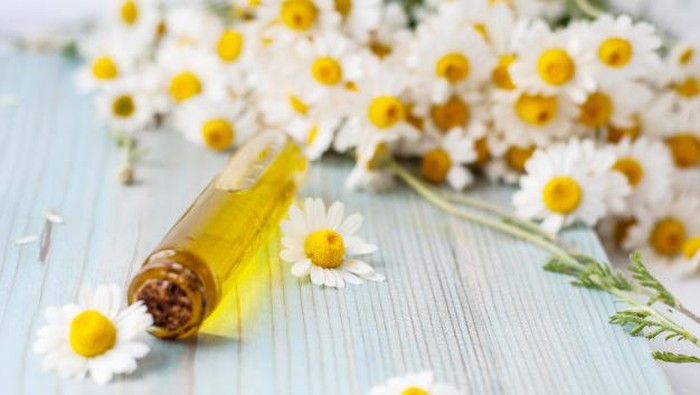 4 Minyak Esensial Ini Katanya Bisa Digunakan untuk Meredakan Kram Menstruasi, Beneran?