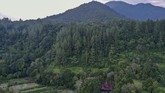 FOTO : Andaliman, Rempah Eksotis dari Tanah Batak Andaliman dikenal sebagai merica batak dan menjadi salah satu rempah yang memiliki jejak sejarah perjalanan bumbu di nusantara dan dunia.