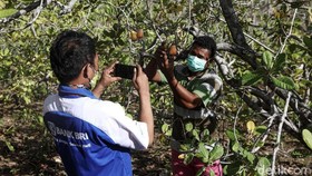 Kisah Mantri BRI Jauhkan Warga Kabupaten Malaka dari Rentenir