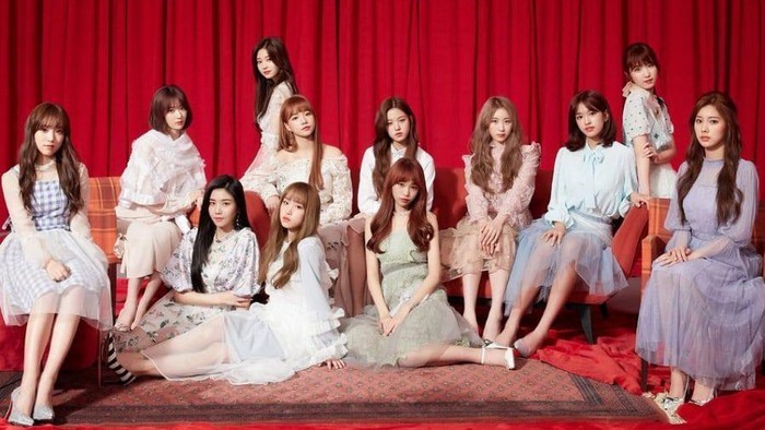 Penuh Kerja Keras, 5 Grup Idol Ini Lahir dari Acara Survival!